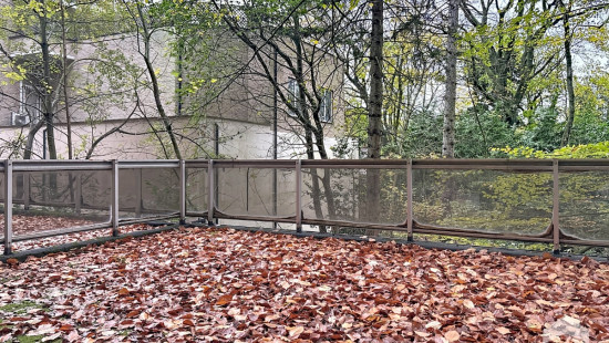 Drève des Renards - 6 - - 1180