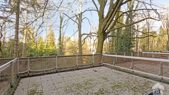 Drève des Renards - 6 - - 1180