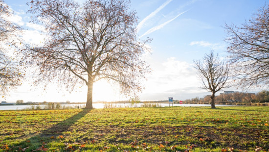 Galgenweellaan - 22 - - 2050