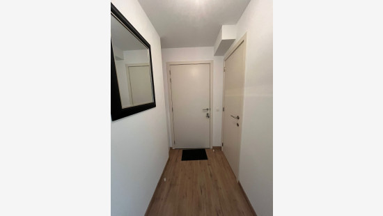 Ganzendries - 48 - 4 - 2320