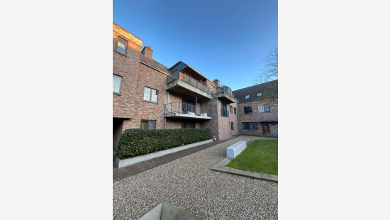 Ganzendries - 48 - 4 - 2320