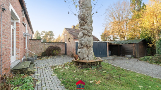 Welvaartstraat - 14 - - 2250