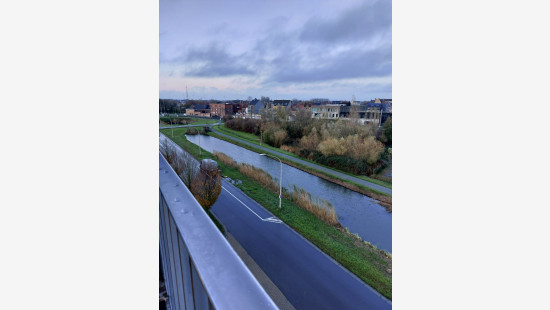 Tulpenlaan - 49 - 10 - 8900