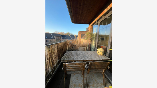 Ganzendries - 48 - 4 - 2320