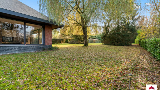 Louwijn - 49 - - 1730