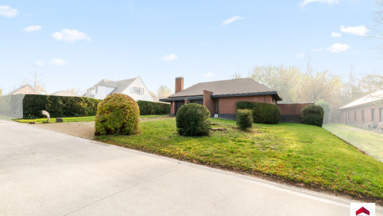 Louwijn - 49 - - 1730