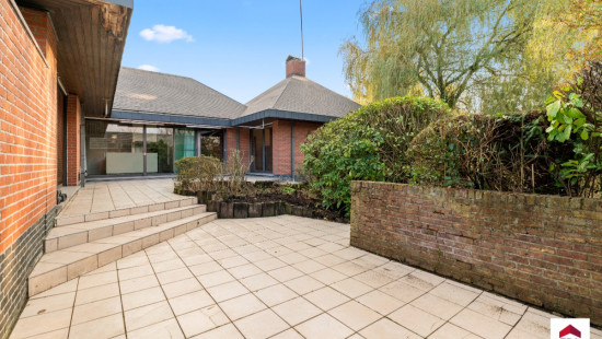 Louwijn - 49 - - 1730