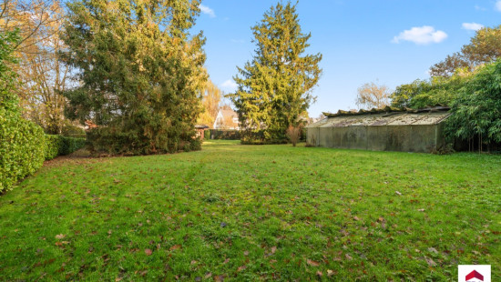 Louwijn - 49 - - 1730