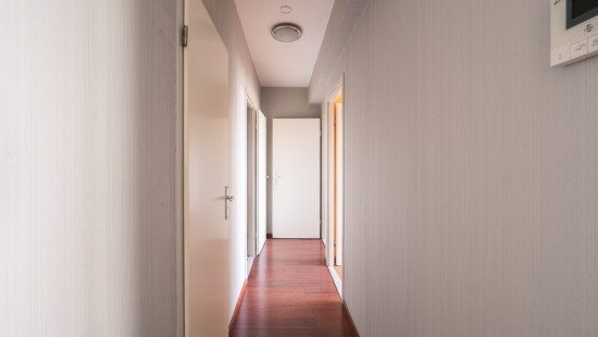 Brederodestraat - 184 - A203 - 2018