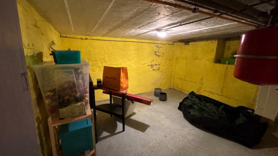 Rue César de Paepe - 12 - - 4030