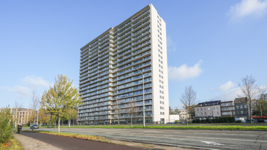 Brederodestraat - 184 - A203 - 2018