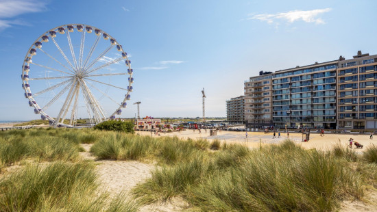 Zeedijk (Golf van Lo) - 1a - - 8620