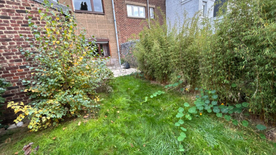 Rue César de Paepe - 12 - - 4030