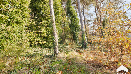 Luikersteenweg (hoek Sint-Franciscusstraat) - lot 6 - 0 - - 3920