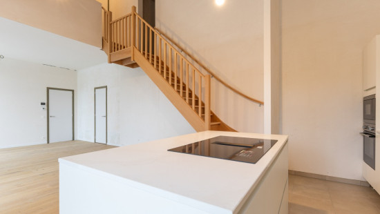 Zilverlaan - 50 - 1.2 - 8400