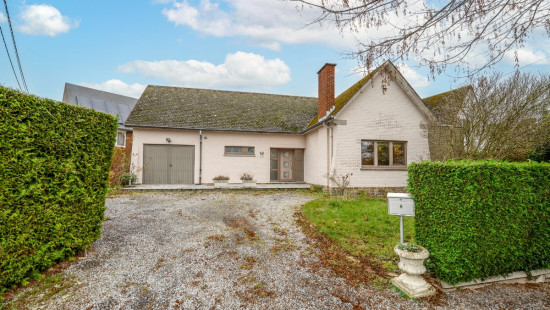 Rue des Chardonnerets - 8 - - 5004