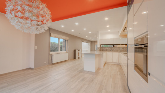 Rue des Chardonnerets - 8 - - 5004