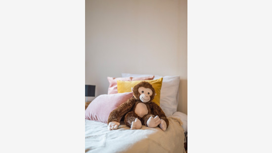 grote markt - 58 - - 9100