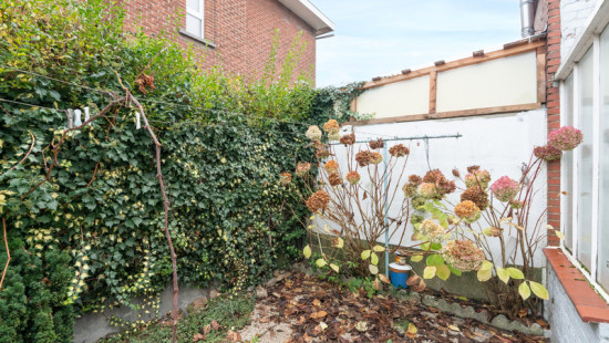 Vredestraat - 73 - - 1830