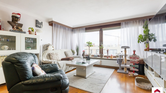 Pierre Sorellaan - 30 - 0503 - 8670