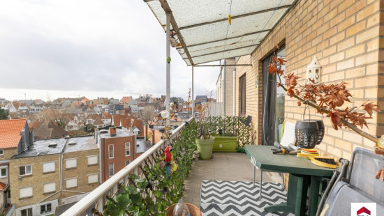 Pierre Sorellaan - 30 - 0503 - 8670