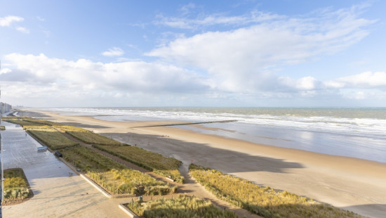 Zeedijk - 308 - 0603 - 8430