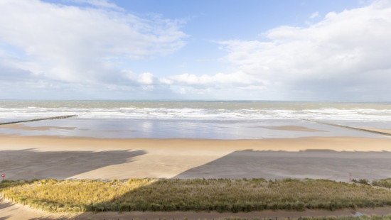 Zeedijk - 308 - 0603 - 8430