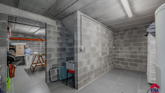 Rue du Tilleul - 83 - - 5350