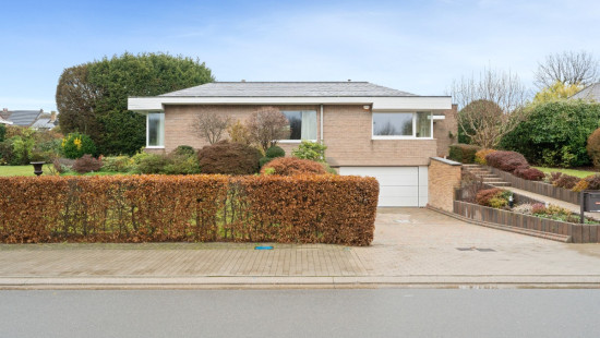 Populierendallaan - 102 - - 1850