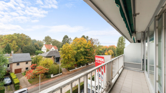 Steenweg op Alsemberg - 93 - 28 - 1630