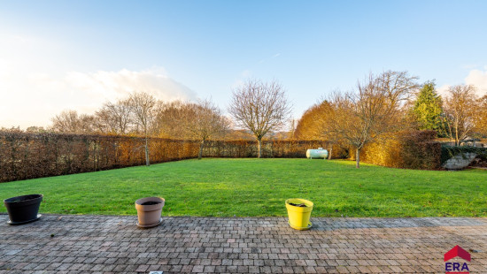 Rue du Tilleul - 83 - - 5350