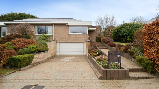 Populierendallaan - 102 - - 1850