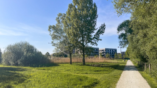 Krijgslaan - 175 - 301 - 2610