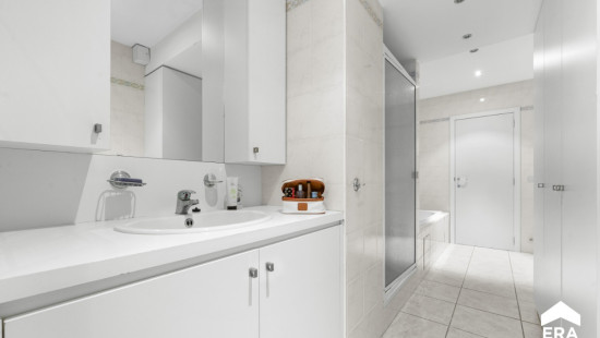 Professor Rubbrechtstraat - 113 - - 8972