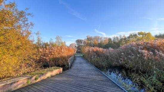 Krijgslaan - 175 - 301 - 2610