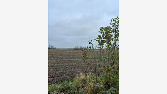 Veldstraat - 78 - - 8650