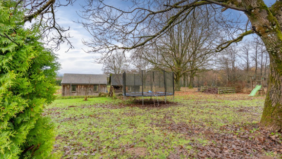 Rue de la Girafe - 6 - - 6830