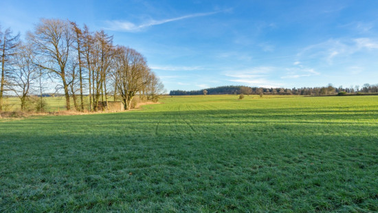 via betrivau - 0 - - 6800