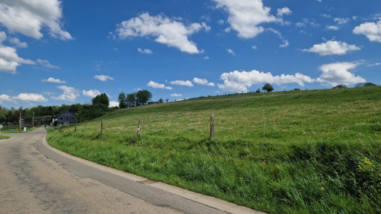 Rue des Jonquilles - 0 - - 6680