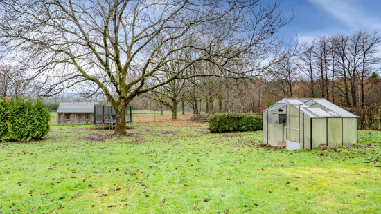 Rue de la Girafe - 6 - - 6830