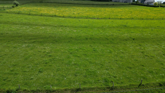 Rue des Jonquilles - 0 - - 6680