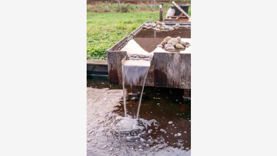 Rechtstraat - 68 - - 9042