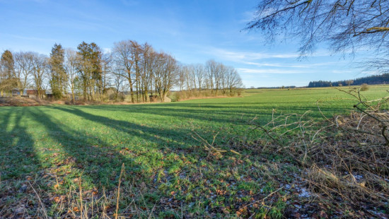 via betrivau - 0 - - 6800