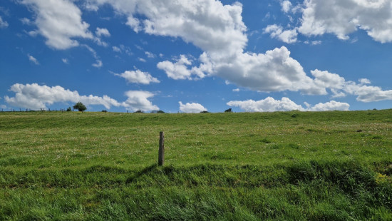 Rue des Jonquilles - 0 - - 6680