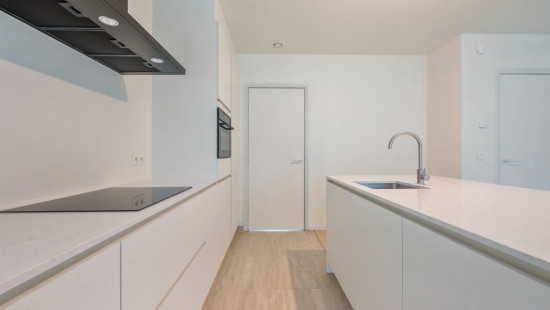 Wijnveld - 4D - - B0 0.2 - 9112