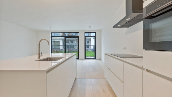 Wijnveld - 4D - - B0 0.2 - 9112