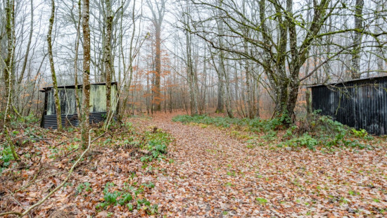Rue de la Forêt - 76 - - 6821