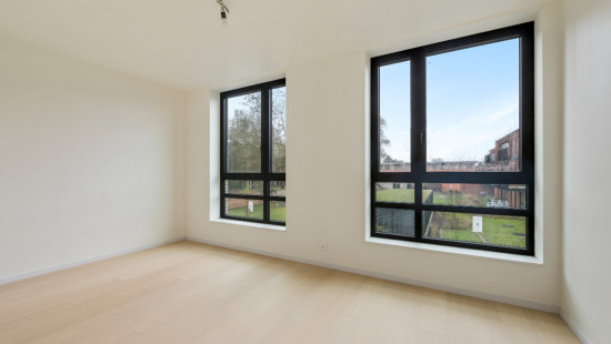 Wijnveld - 4D - - B0 0.2 - 9112