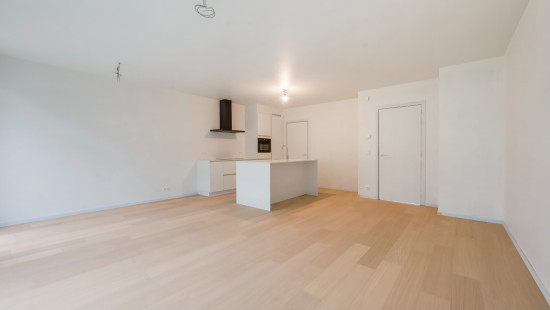 Wijnveld - 4D - - B0 0.2 - 9112