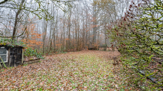 Rue de la Forêt - 76 - - 6821